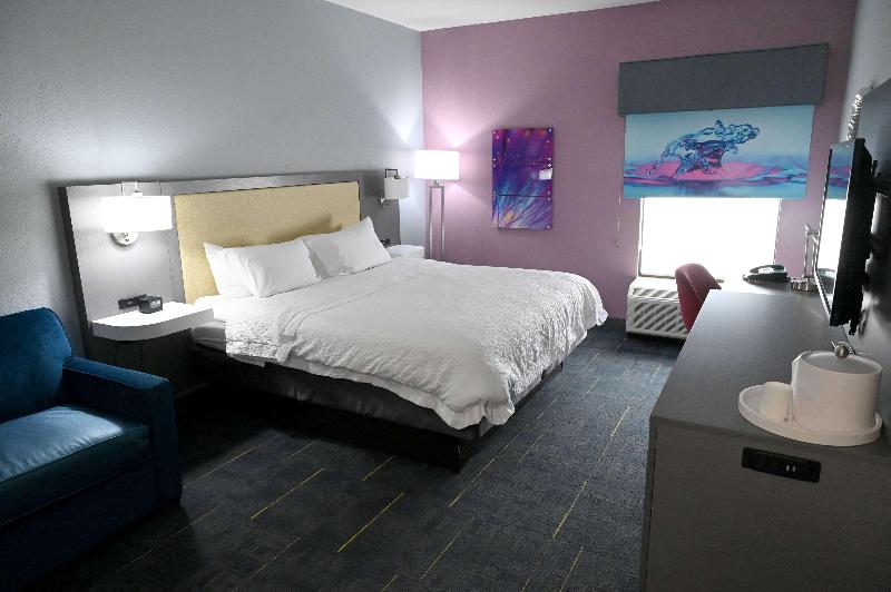 스탠다드 룸 킹사이즈 침대, Hampton Inn Valdosta/lake Park Area