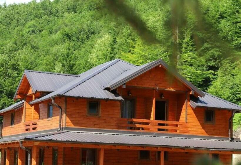 Номер Стандарт, Bujtina Malaj