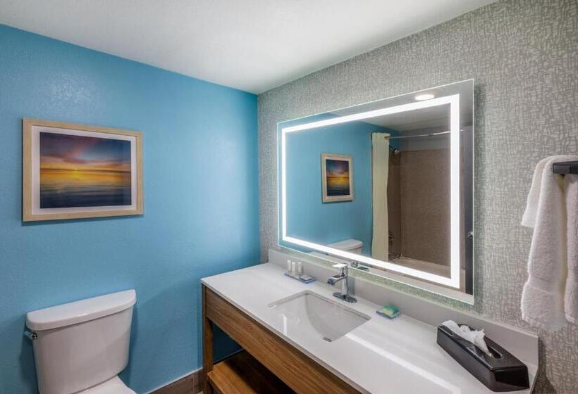Номер Deluxe Адаптированный для Инвалидов, La Quinta By Wyndham New Braunfels