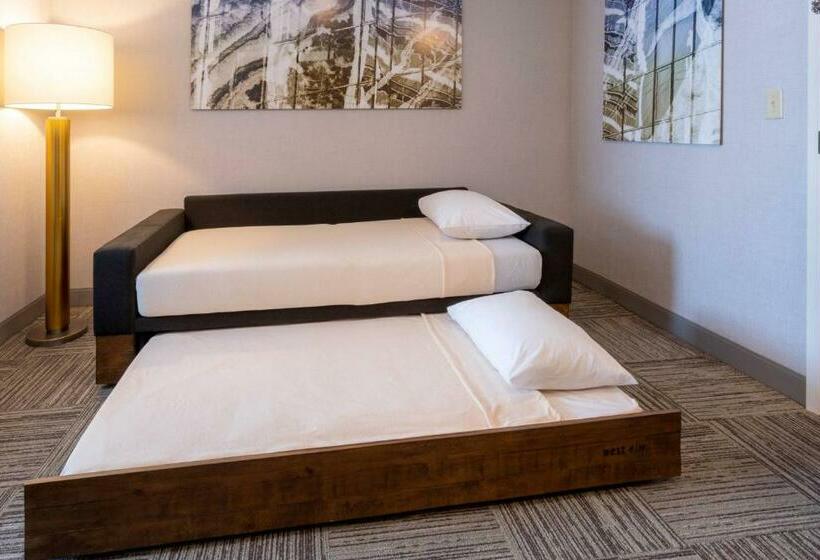 Люкс Кровать Кинг, Springhill Suites Minneapolis Maple Grove/arbor Lakes