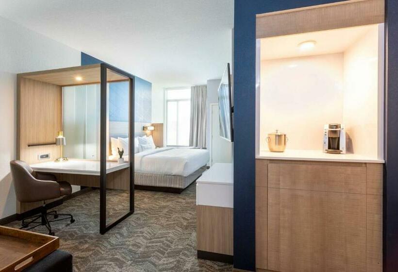 Люкс Кровать Кинг, Springhill Suites Minneapolis Maple Grove/arbor Lakes