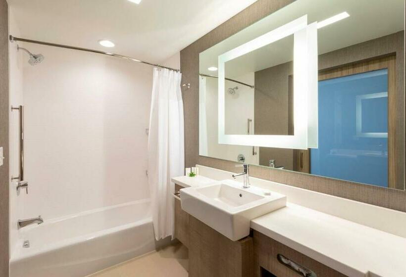Люкс, Springhill Suites Minneapolis Maple Grove/arbor Lakes