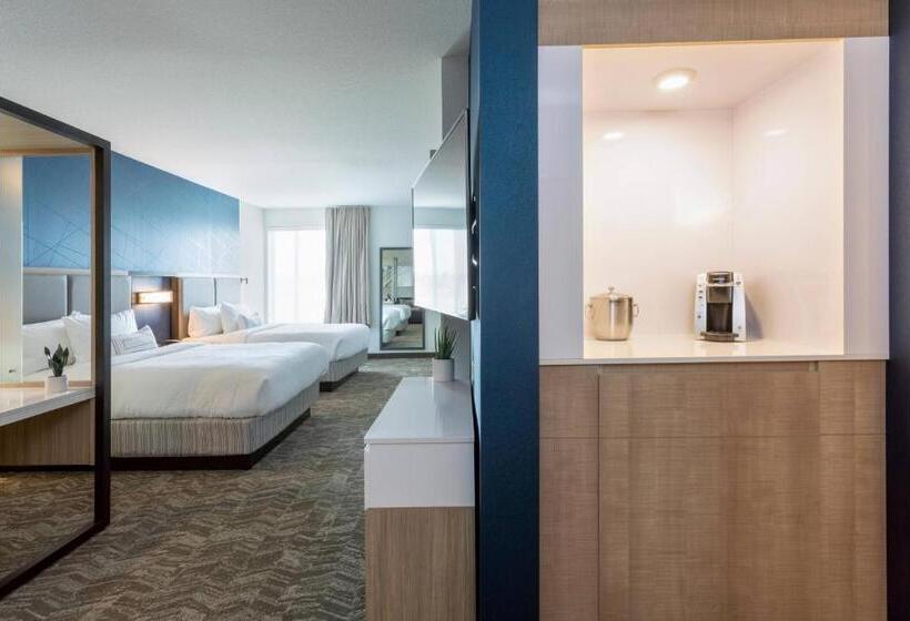 Люкс Адаптированный для Инвалидов, Springhill Suites Minneapolis Maple Grove/arbor Lakes