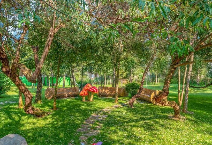 Номер Deluxe, Harmony Suites Grand Resort