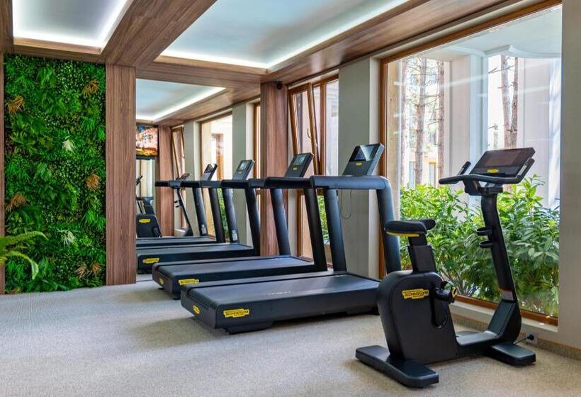 Апартаменты Superior 1 Спальня, Harmony Suites Grand Resort