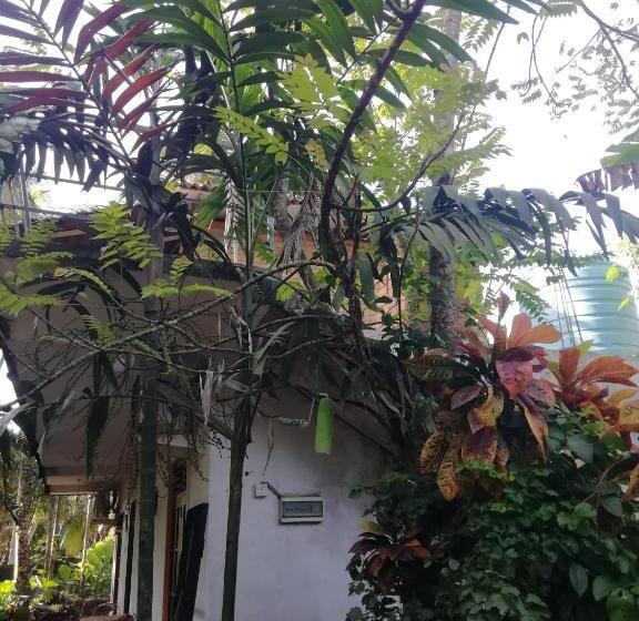 اتاق خانوادگی, Jungle Guest ,mirissa