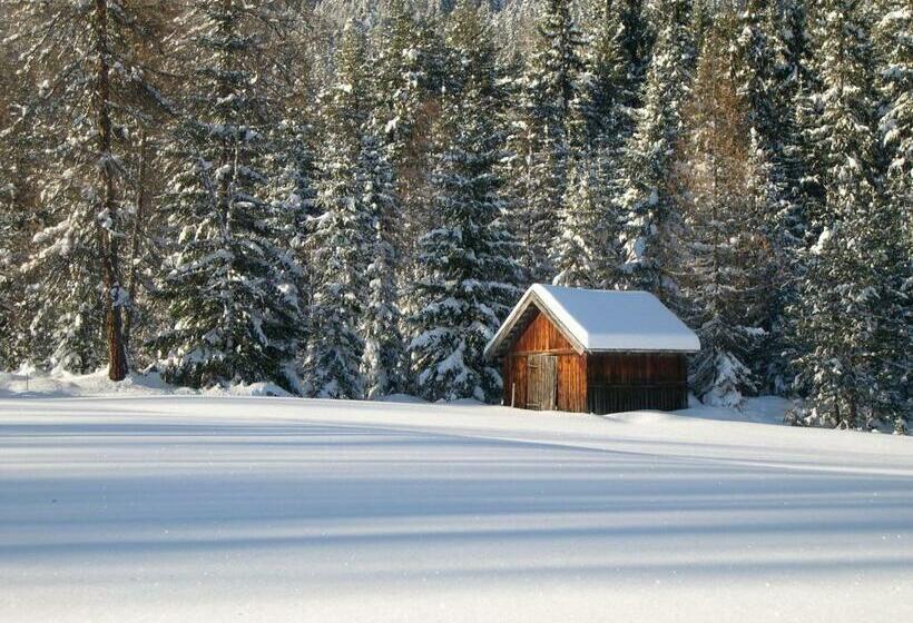 Номер Стандарт, Pension Holzmann