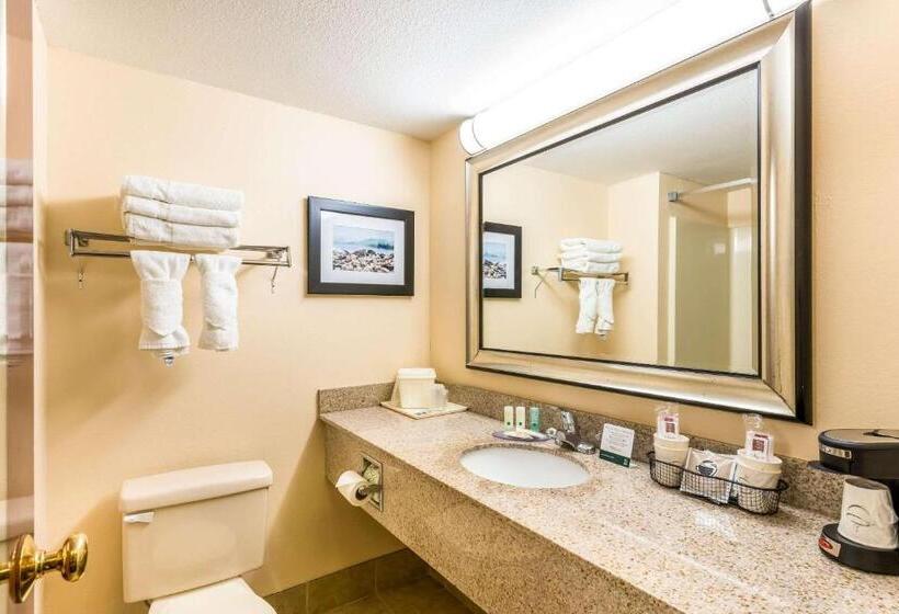 Стандартный Номер Кровать Кинг, Quality Inn Huntersville Near Lake Norman