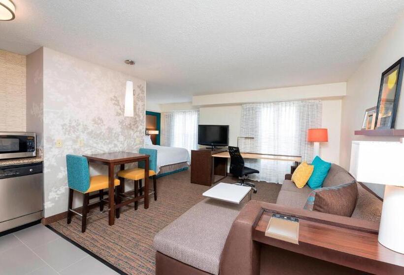 Студия Стандарт, Residence Inn By Marriott Grand Rapids West
