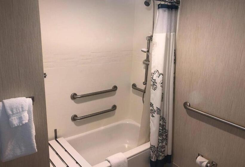 Люкс Кровать Квин, Residence Inn By Marriott Grand Rapids West