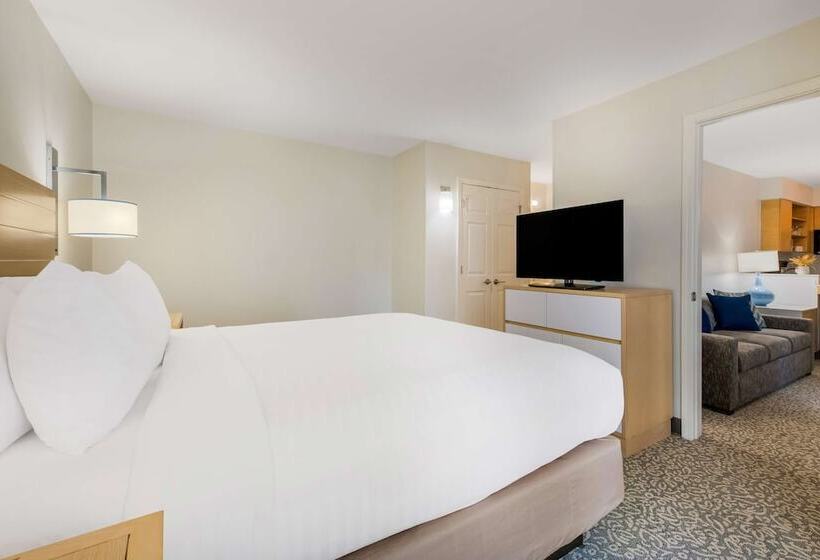 身障者適用スタンダードルーム, Sonesta Es Suites Charlotte Arrowood