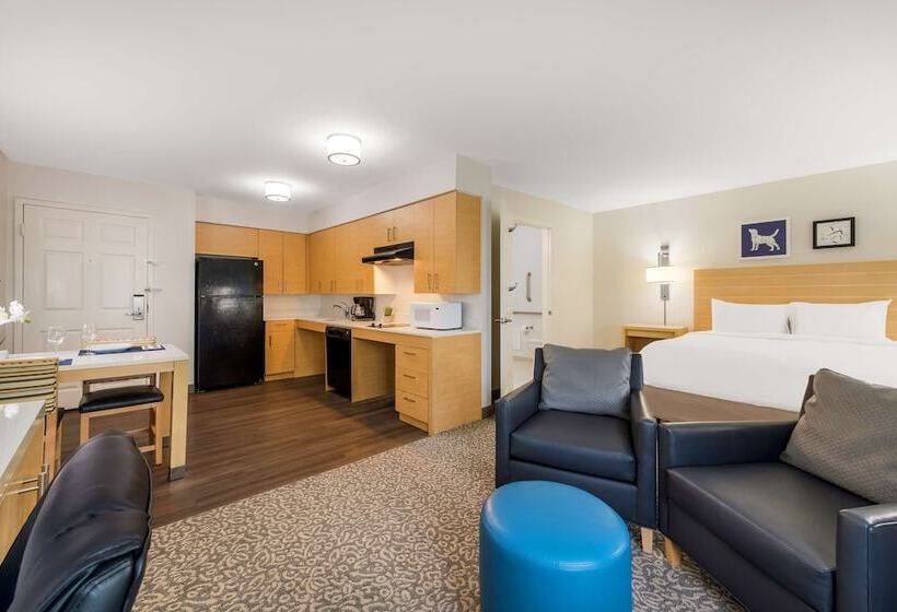 ダブルベッドのスタンダードスタジオ, Sonesta Es Suites Charlotte Arrowood