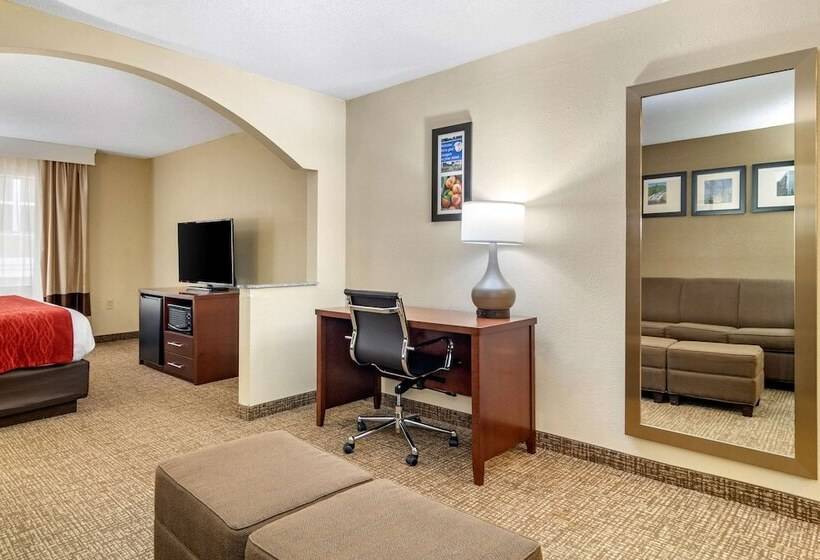סוויטה, Comfort Inn & Suites Macon North I75