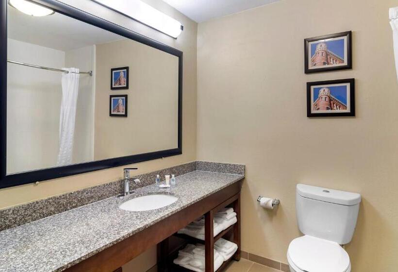 מיטת קינג בסוויטה, Comfort Inn & Suites Macon North I75