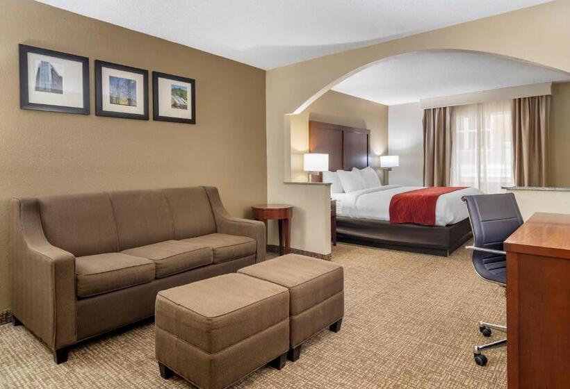 מיטת קינג בסוויטה, Comfort Inn & Suites Macon North I75
