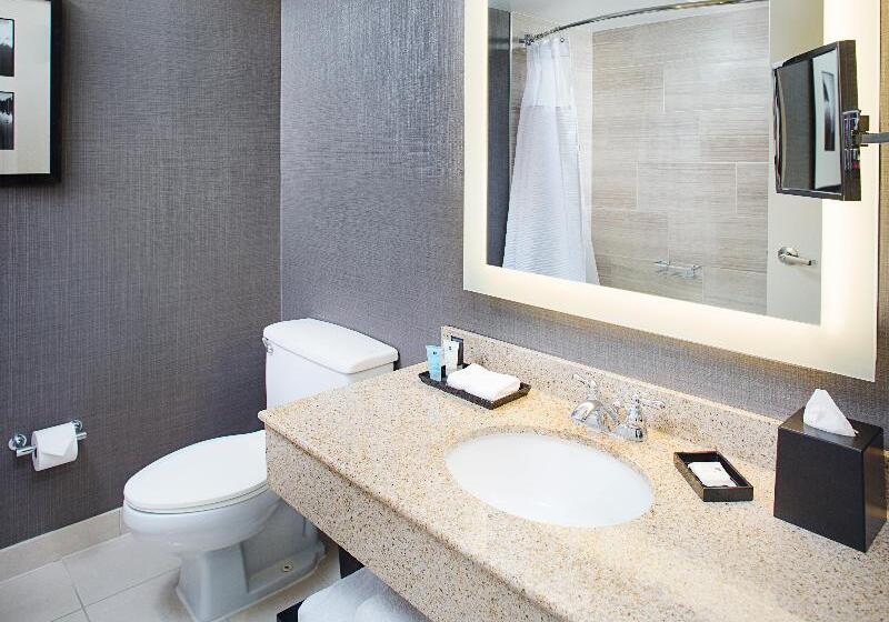 キングサイズベッドのエクゼクティブルーム, Crowne Plaza Annapolis, An Ihg
