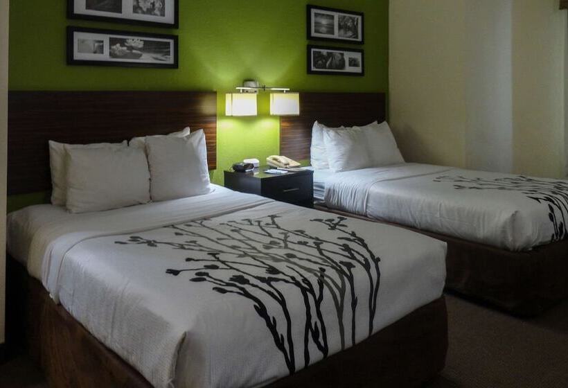 Quarto Estandar 2 Camas Casal, Sleep Inn & Suites Columbus Near State University   Fort Moore Area