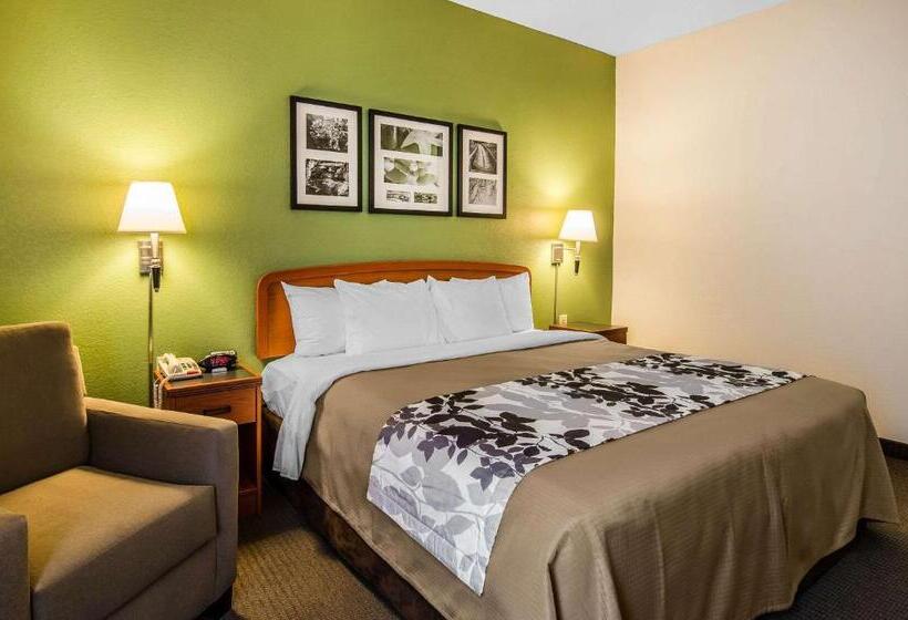 带大床的标准间, Sleep Inn & Suites Danville Hwy 58