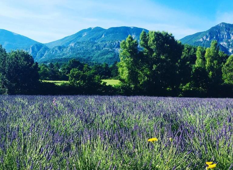 침실 2개 스위트, Le Moulin De La Viorne, Gîte Modulable Avec Piscine En Haute Provence