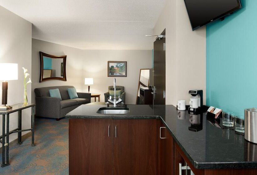 Suite Premium, The Inn At Saint Mary's