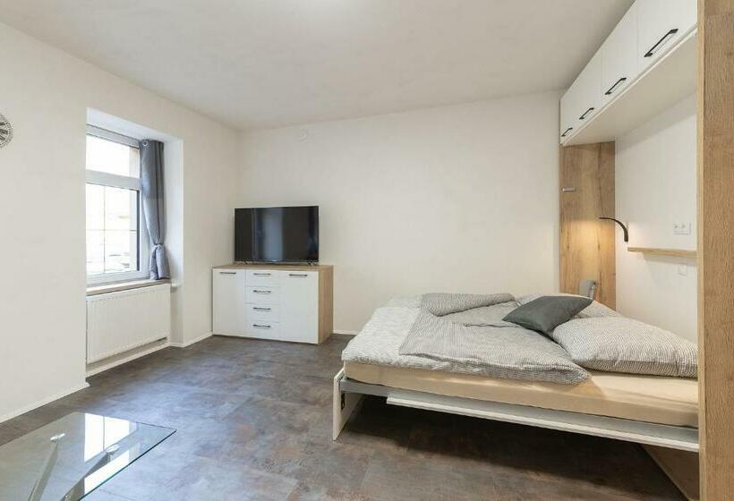 带1个卧室的豪华公寓, Apartsee Wellness Plzeň