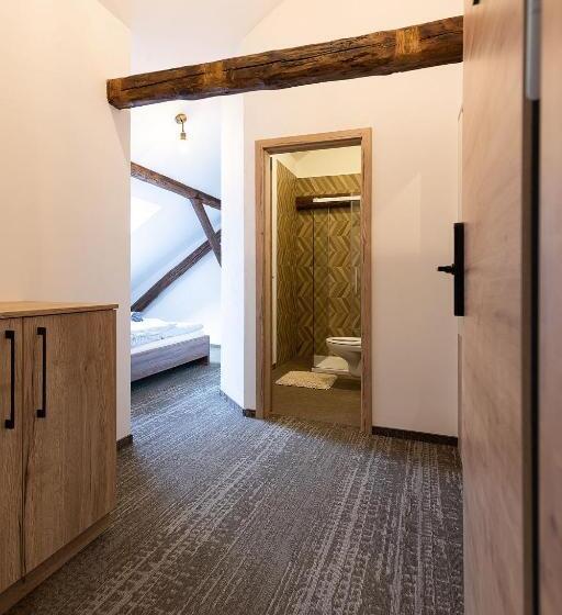 经济房, Apartsee Wellness Plzeň