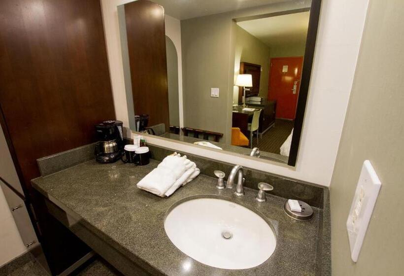 Номер Deluxe с Гидромассажем, Scottsdale Parkview