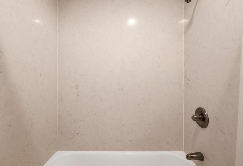 스탠다드 룸 킹사이즈 침대, Heritage Inn Express Chico