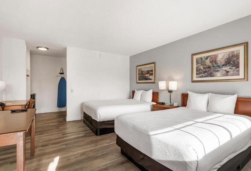 스탠다드 룸 더블 침대 2개, Heritage Inn Express Chico