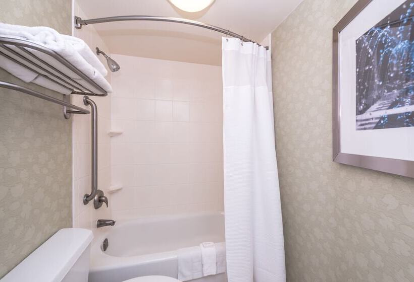Люкс, Springhill Suites Boise West/eagle