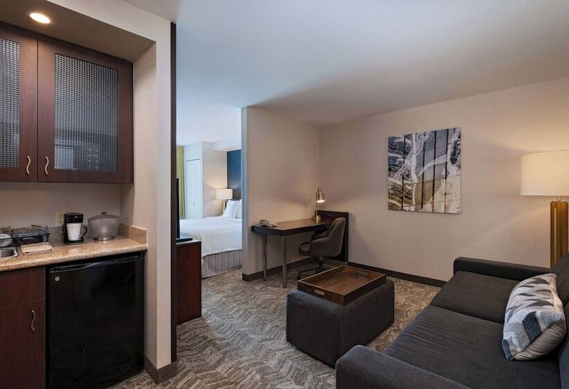 Люкс, Springhill Suites Boise West/eagle