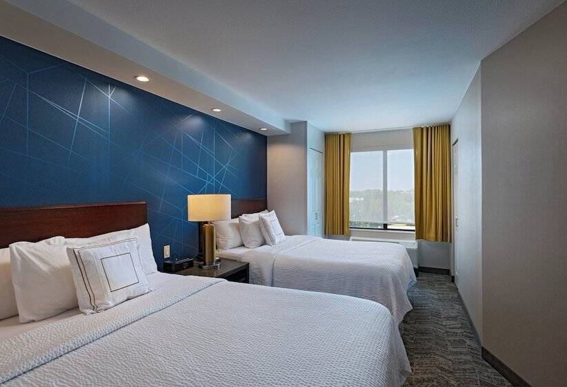 Люкс Адаптированный для Инвалидов, Springhill Suites Boise West/eagle