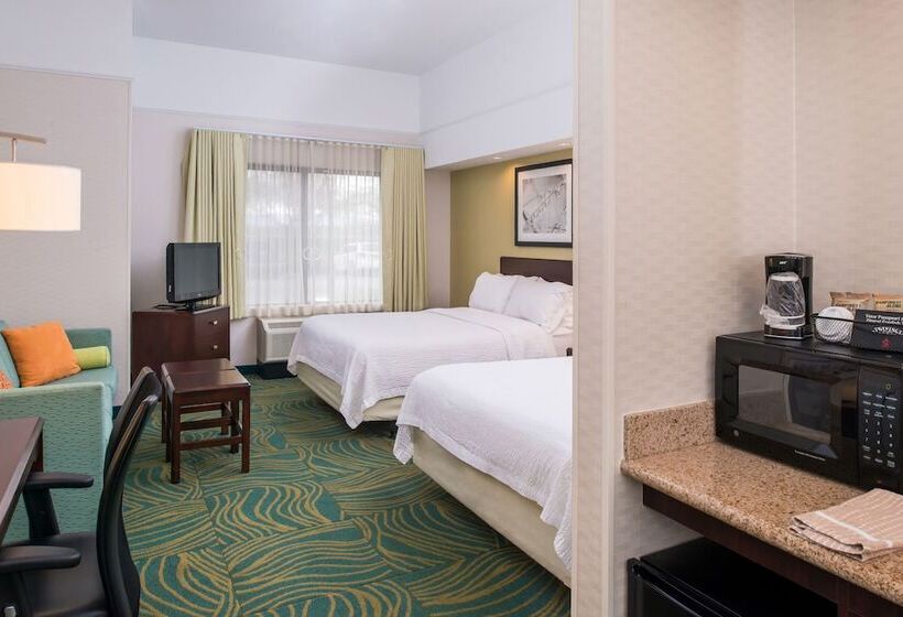 Люкс Адаптированный для Инвалидов, Springhill Suites Boise West/eagle