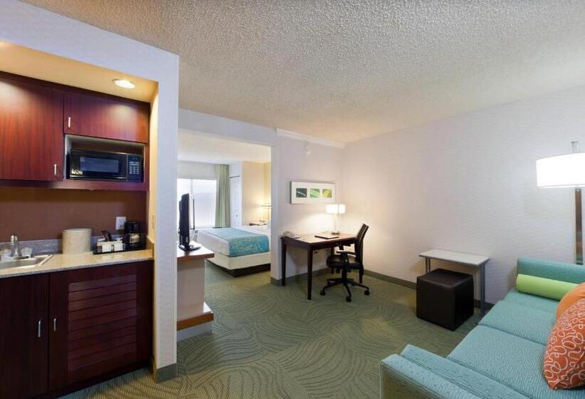 Студио Стандарт Кровать Кинг, Springhill Suites Denver North/westminster