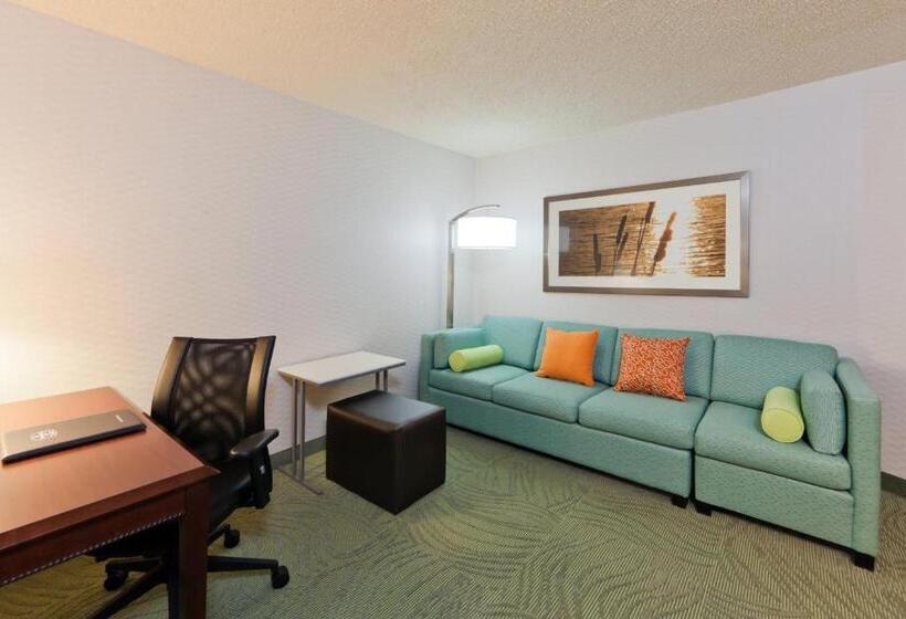 Студия Стандарт, Springhill Suites Denver North/westminster