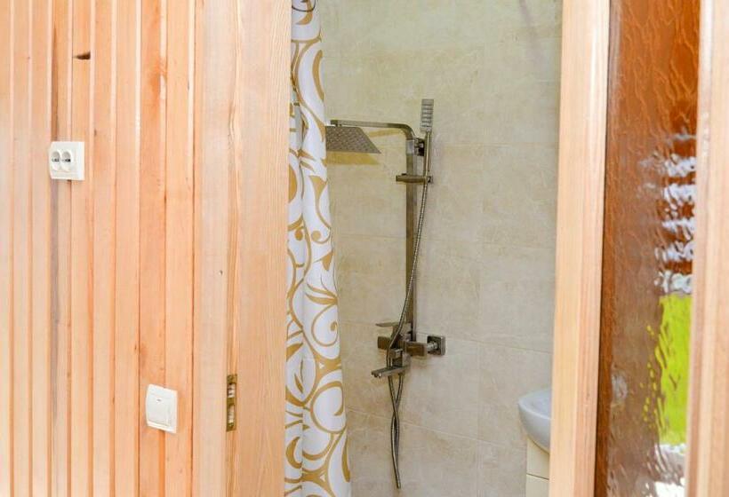 Номер Стандарт, Lisnyi