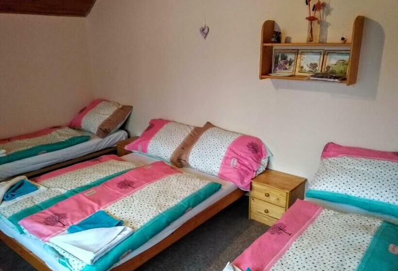 Семейный Номер, Pension Bílý Hořec