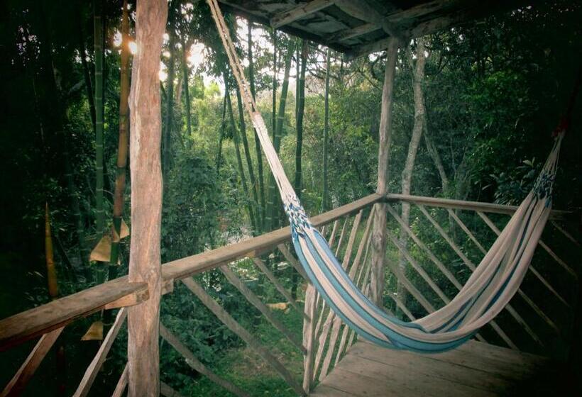 Бунгало Стандарт, Rumi Wilco Ecolodge & Nature Reserve Cabañas & Camping