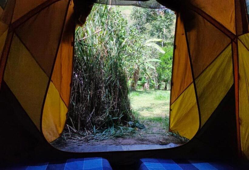Standard Tent, Rumi Wilco Ecolodge & Nature Reserve Cabañas & Camping