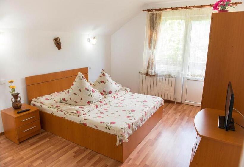 اتاق استاندارد با چشم‌انداز کوهستان, Casa Andreea