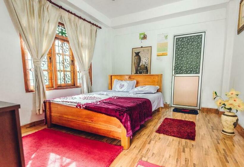 豪华房间, Hamadhi Guest
