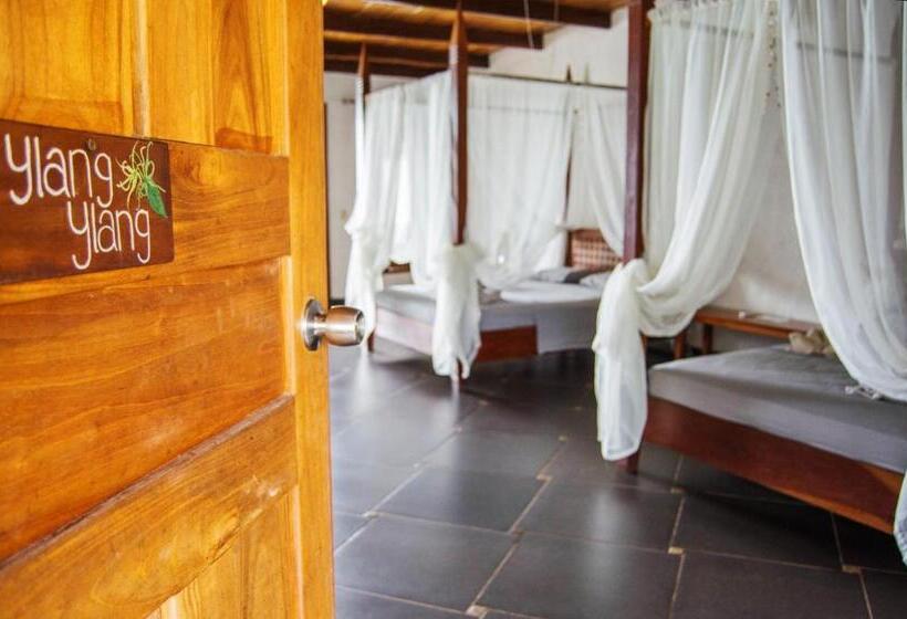 스탠다드 스튜디오 바다 전망, Punta Duarte Garden Inn