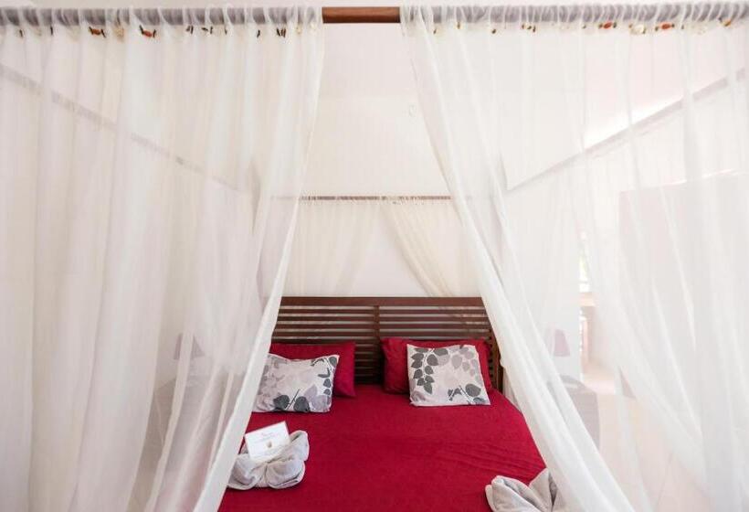 스탠다드 스튜디오 킹침대, Punta Duarte Garden Inn