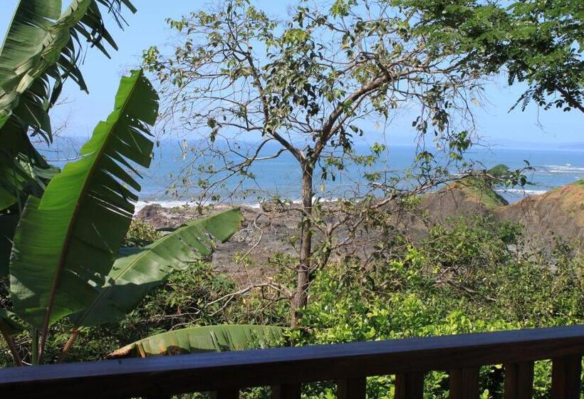 디럭스 테라스 룸 바다 전망, Punta Duarte Garden Inn