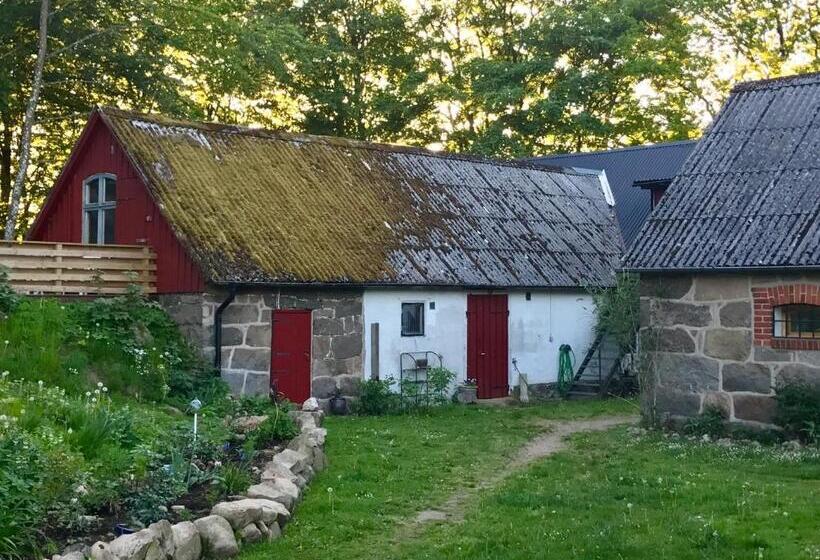 Номер Стандарт, Farm Stay Happy Dogs Ranch