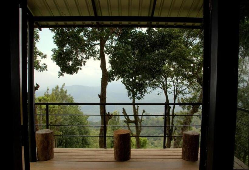标准间, O Land Plantation