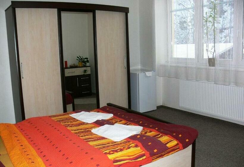 Номер Стандарт, Penzion Továrníkova Vila
