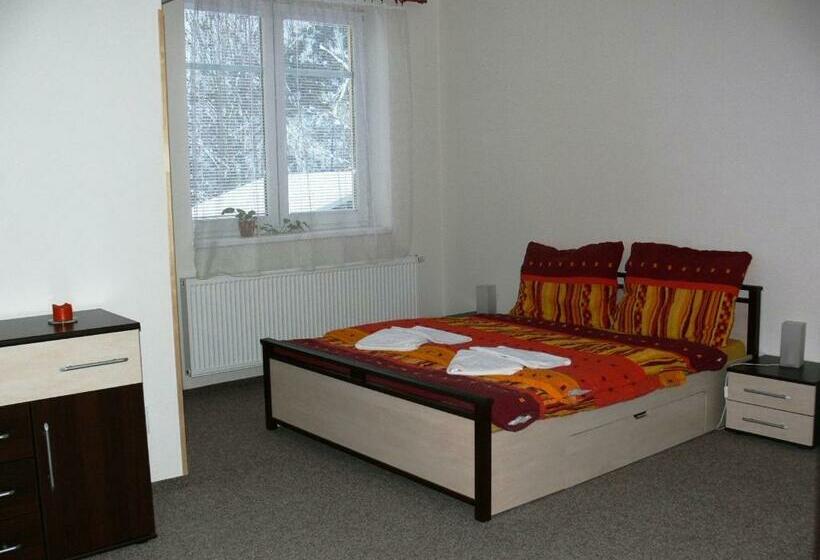 Номер Стандарт, Penzion Továrníkova Vila