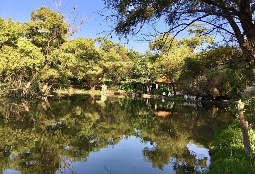 キングサイズベッドのスタンダードルーム, Los Naranjos Hotel Boutique