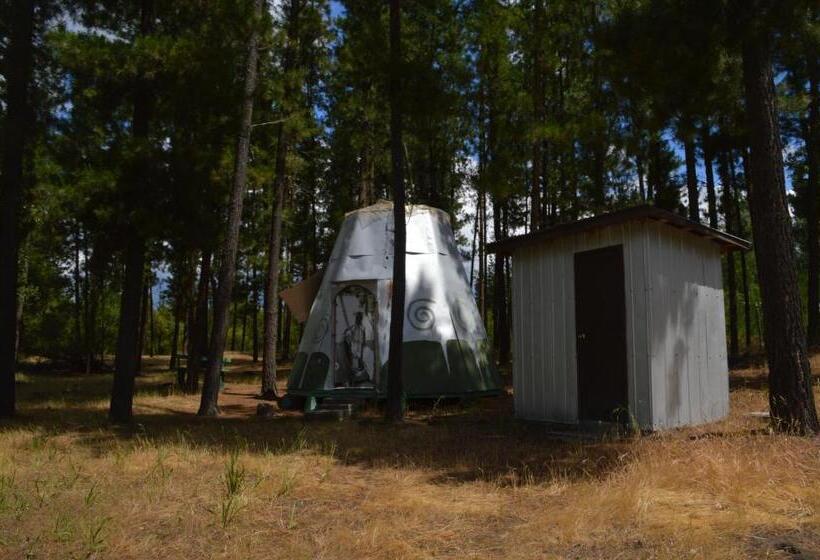 스탠다드 룸, Coyunche Cabañas Y Camping Laja & San Rosendo